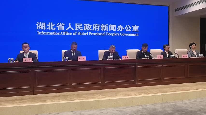 湖北已将1801个省级及以上重大项目、9446个市级重点项目纳入“一张图”
