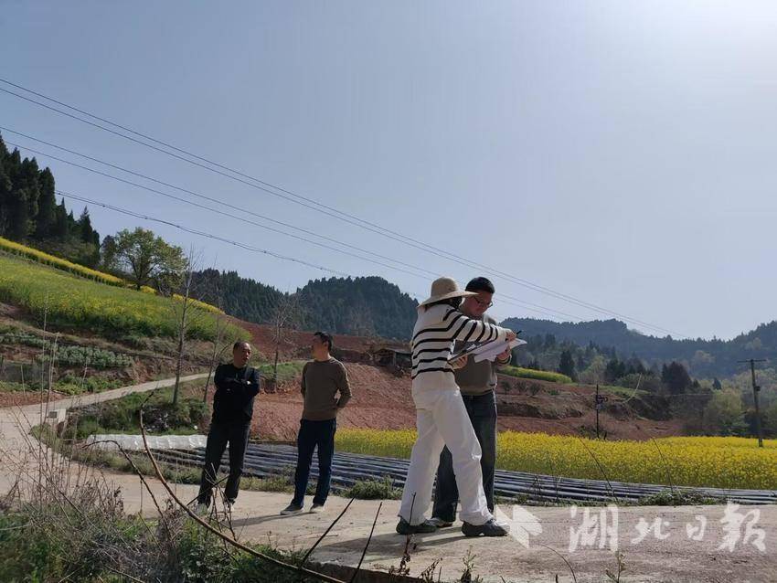 1_通讯稿2025.4.3(1)(1).docx