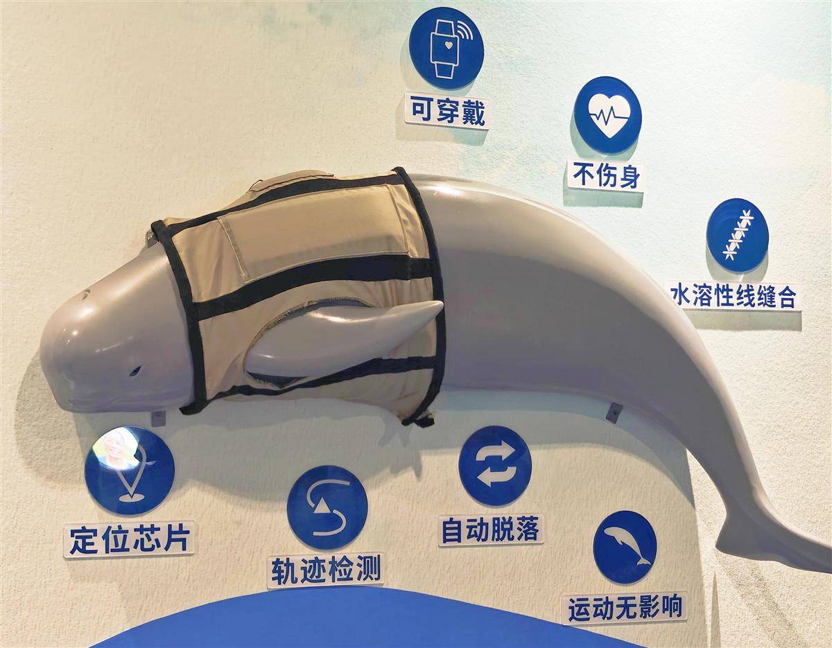 IMG20250729100106.jpg IMG20250729100106.jpg