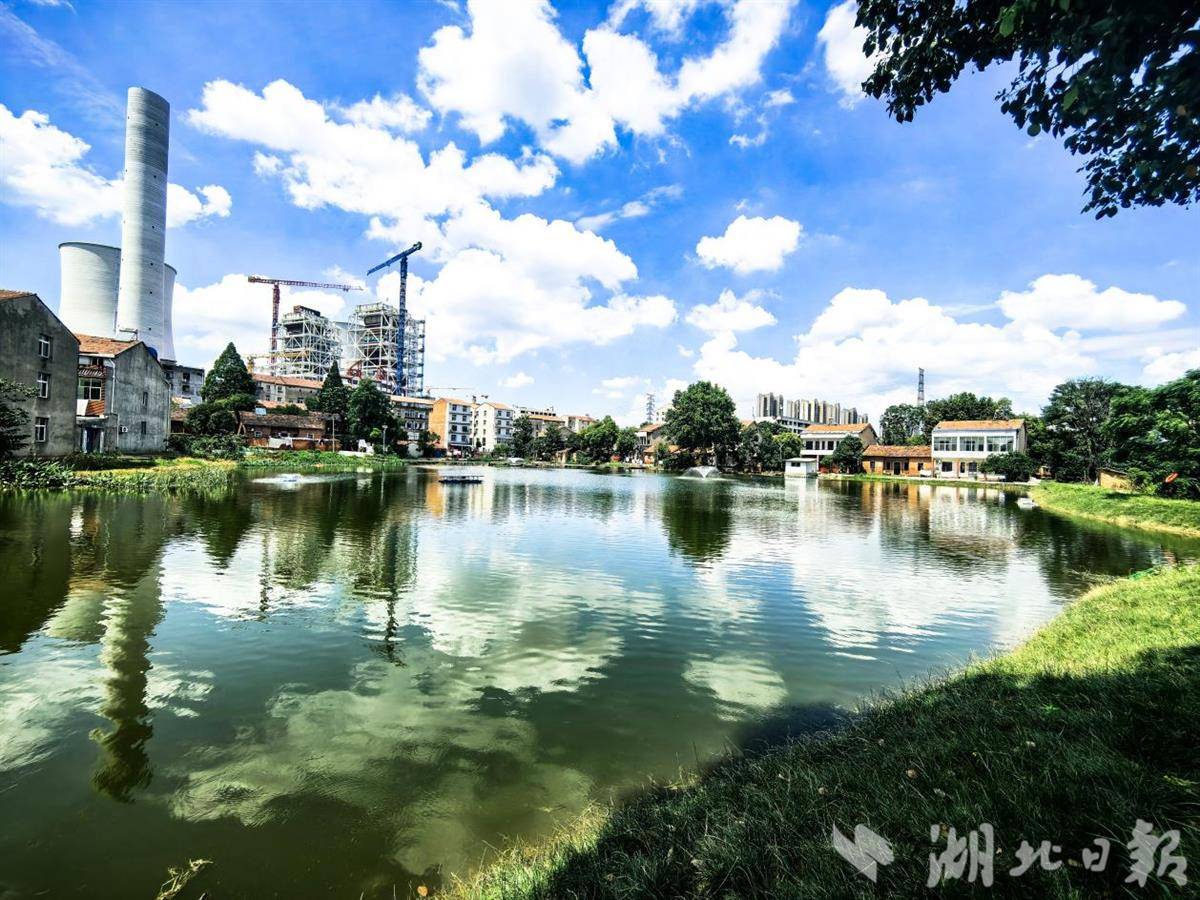 水塘1.jpg 水塘1.jpg