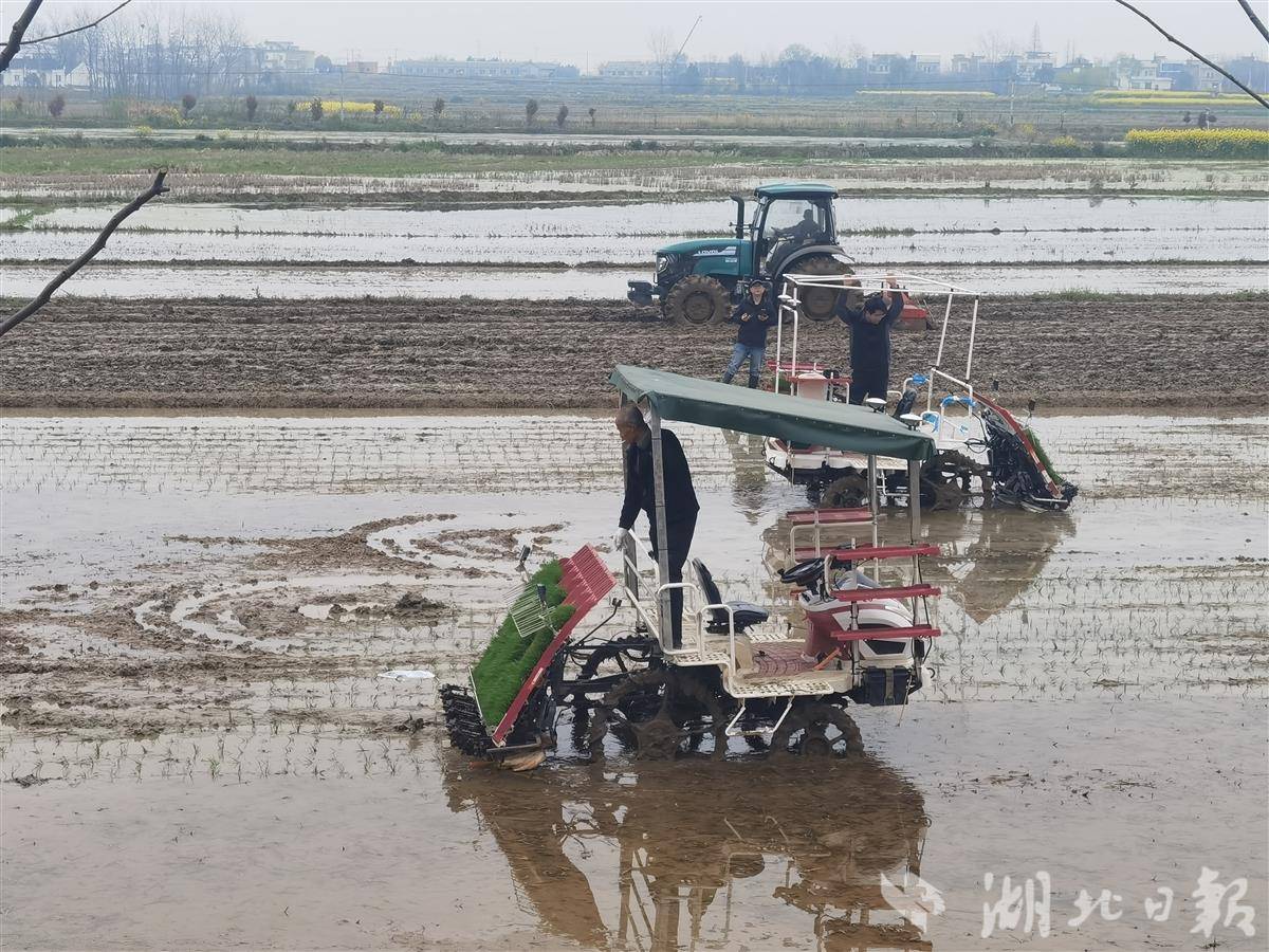 7a46beace1afcb7c9dad4dcc638c3820.jpg 7a46beace1afcb7c9dad4dcc638c3820.jpg