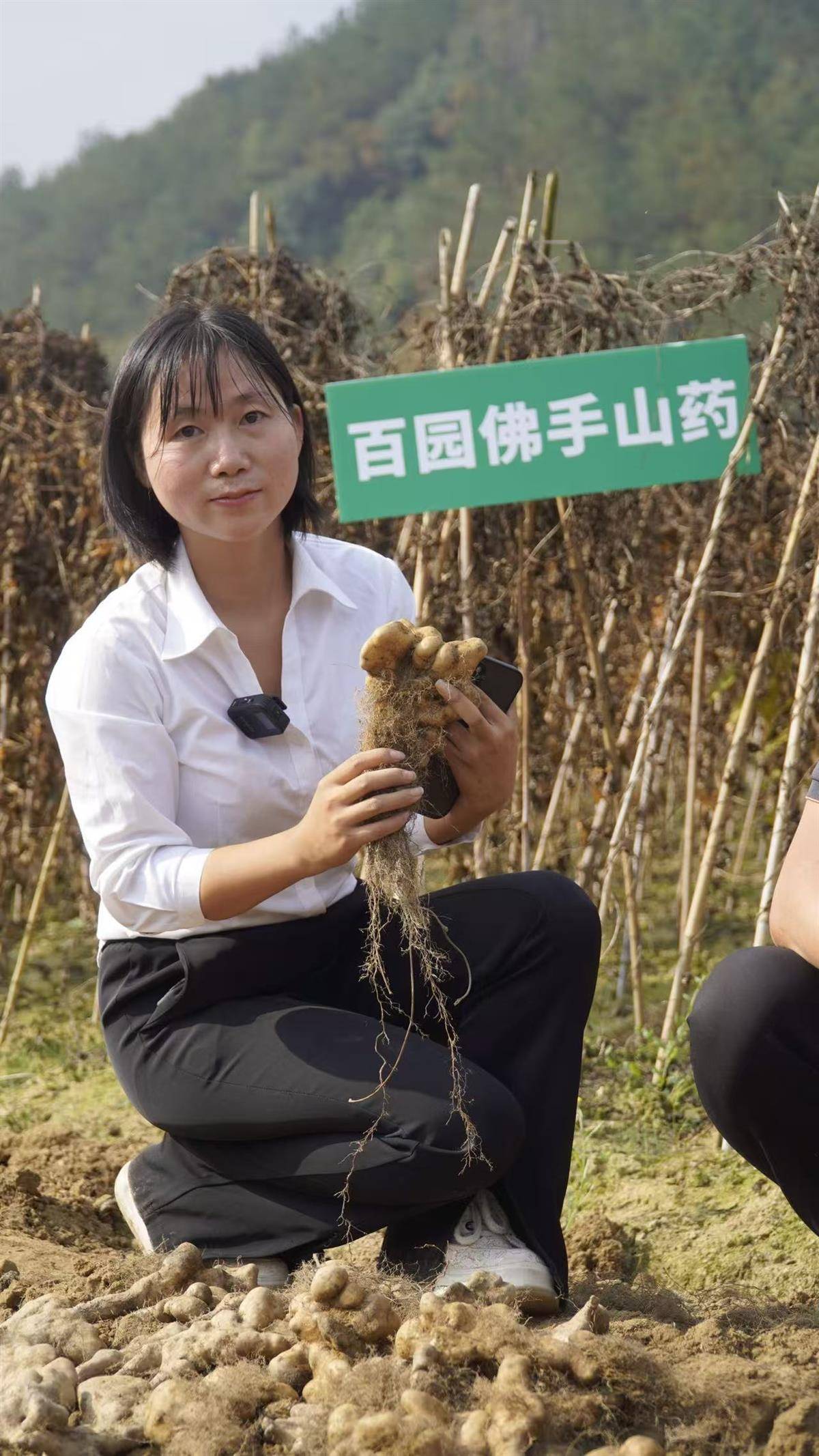 微信图片_20251009182807_9_966.jpg