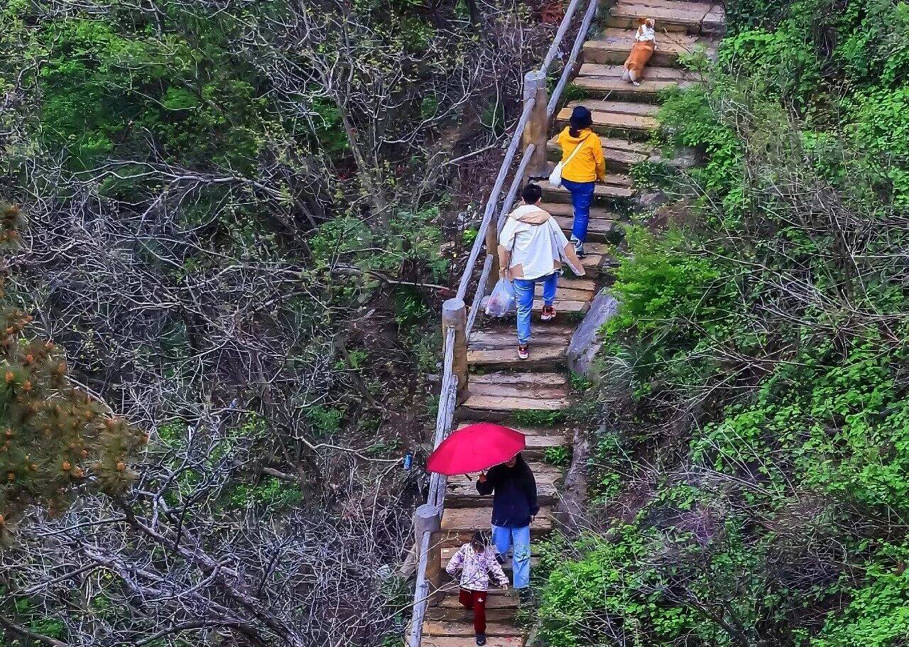 aa34e34ae9097e7fab3827c18733df7f.jpg aa34e34ae9097e7fab3827c18733df7f.jpg