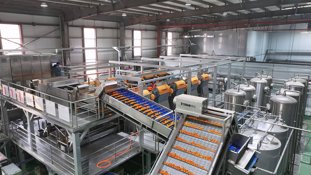 北京一轻生产线 (1).jpg