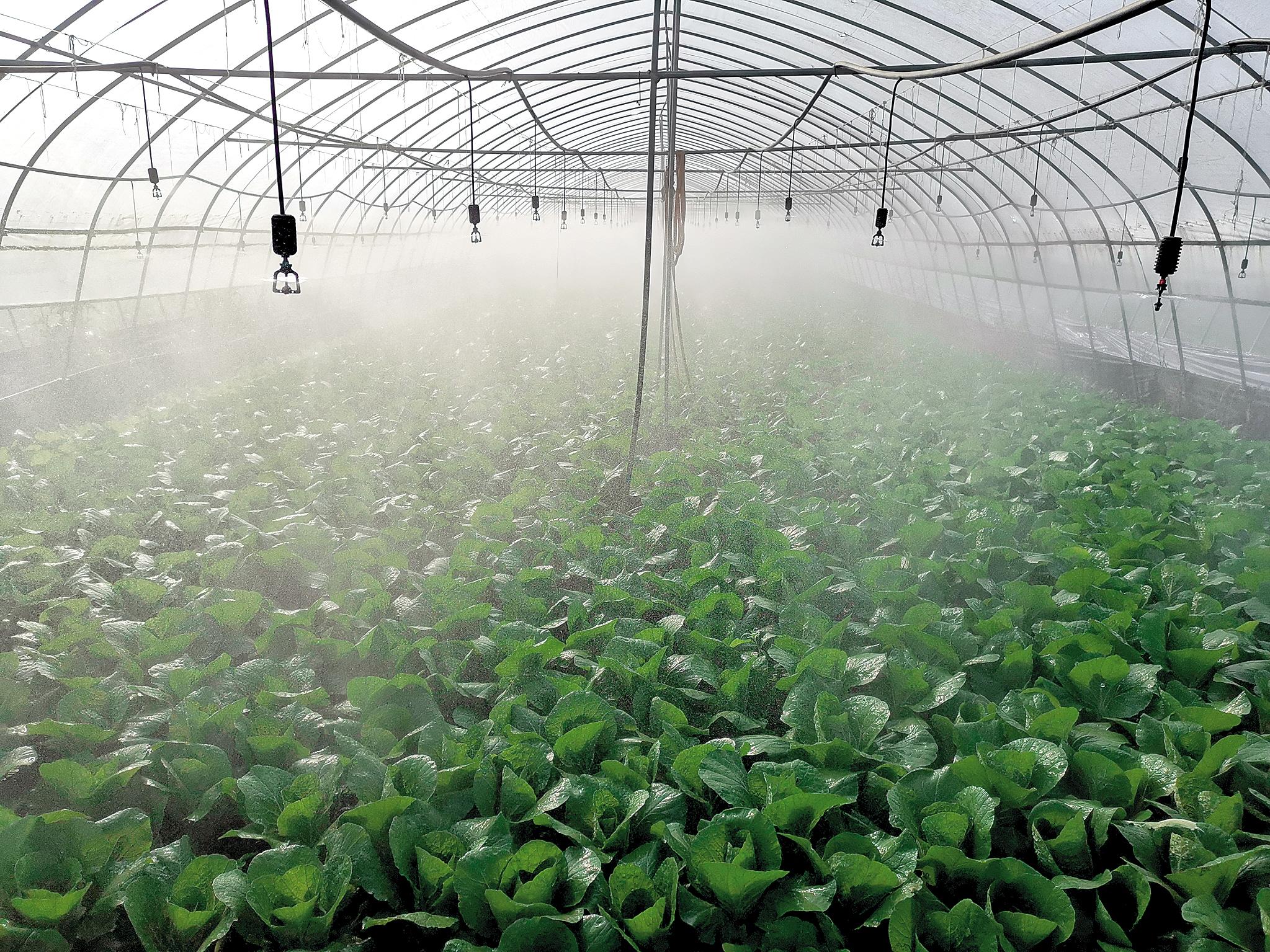 的黄桃基地……荆楚大地上,处处都能看到喷滴灌等高效节水设施的应用