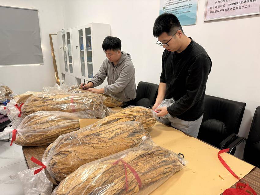 质量检测行业动态：从细微处洞察品质