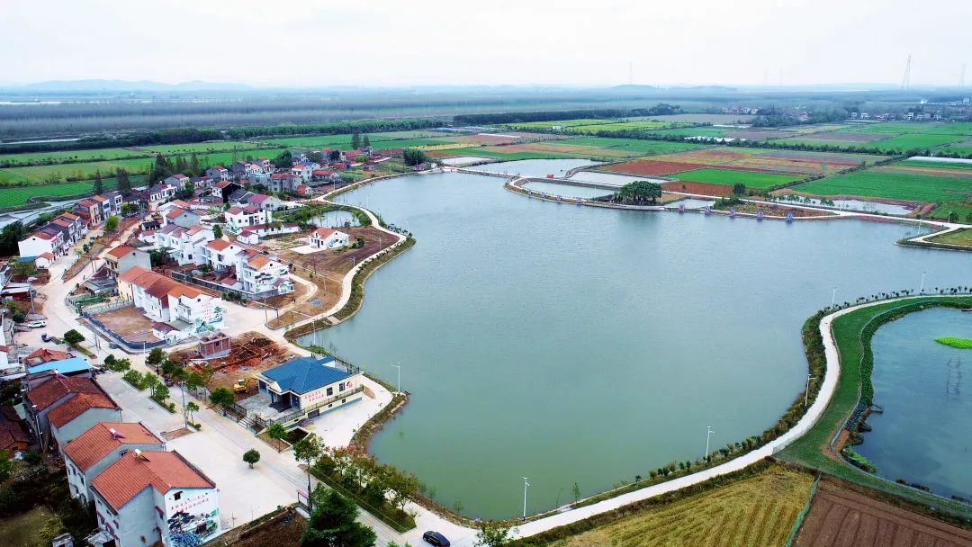 共同缔造｜洪湖市乌林镇吴王庙村：共建美好星潭子 共享致美吴王庙 - 湖北日报新闻客户端