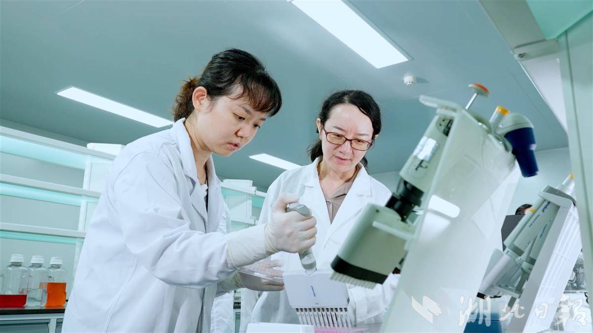 静帧 2026-03-19 144413_1.41.1.jpg 静帧 2026-03-19 144413_1.41.1.jpg