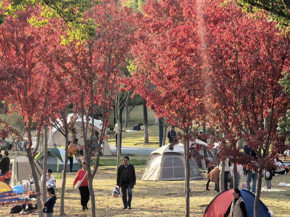 微信图片_20251203170652_97_426.jpg 微信图片_20251203170652_97_426.jpg