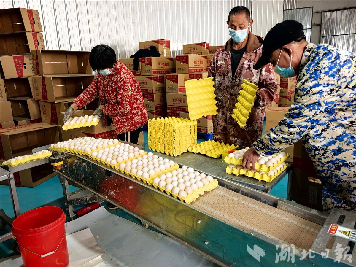 微信图片_20251215150117_192_344.jpg 微信图片_20251215150117_192_344.jpg