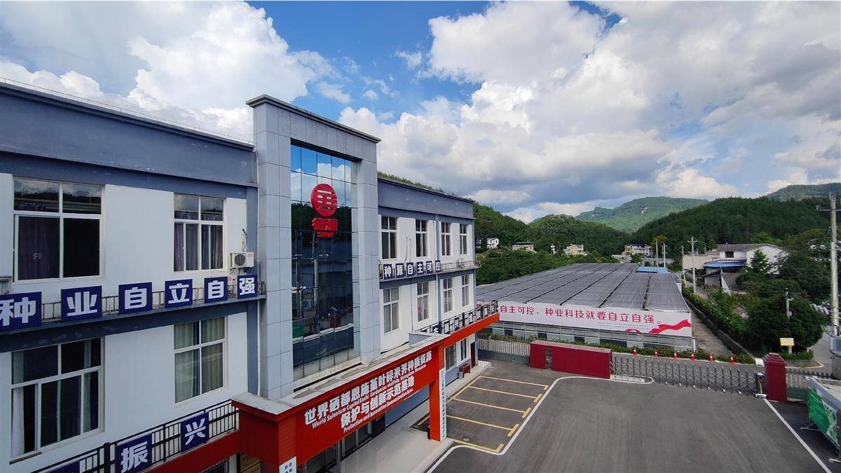 德源堇叶碎米荠种质资源保护与创新示范基地。（资料图）.jpg