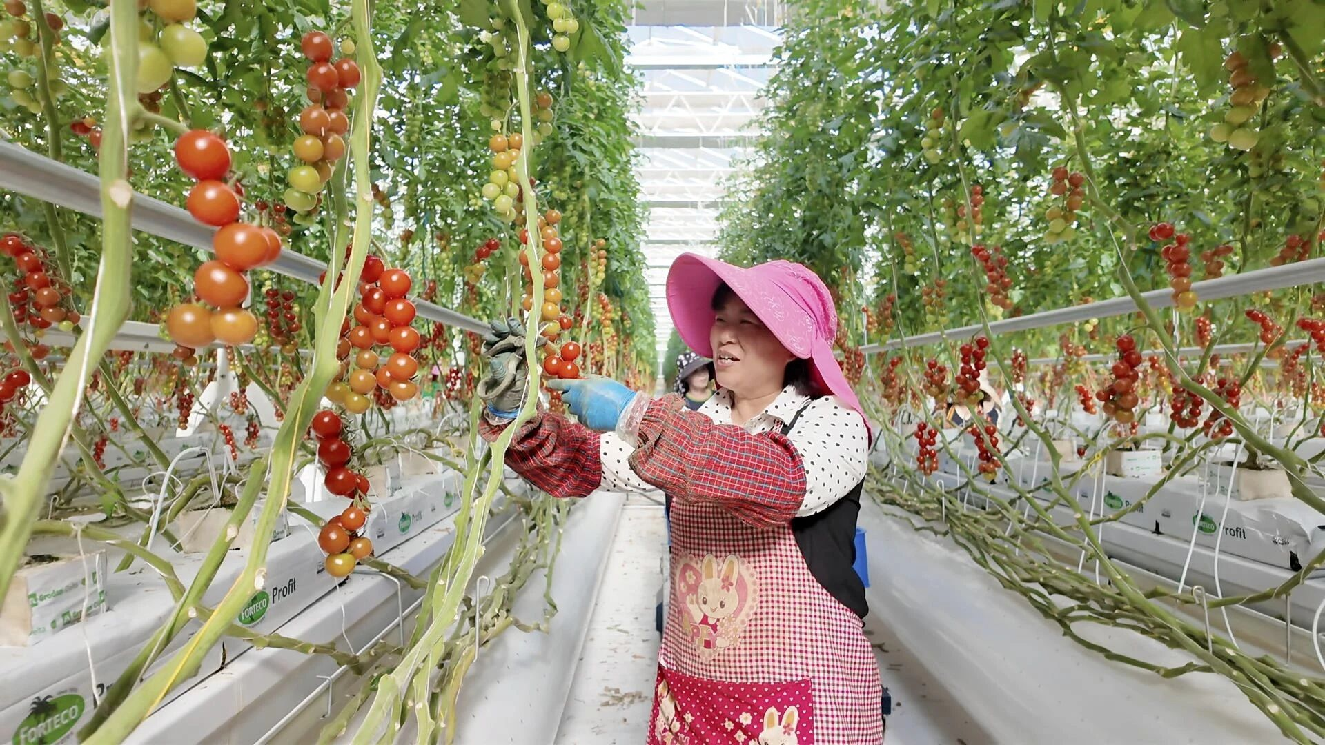 ff9ef196cc6fc6f0794657206d0b203.png ff9ef196cc6fc6f0794657206d0b203.png