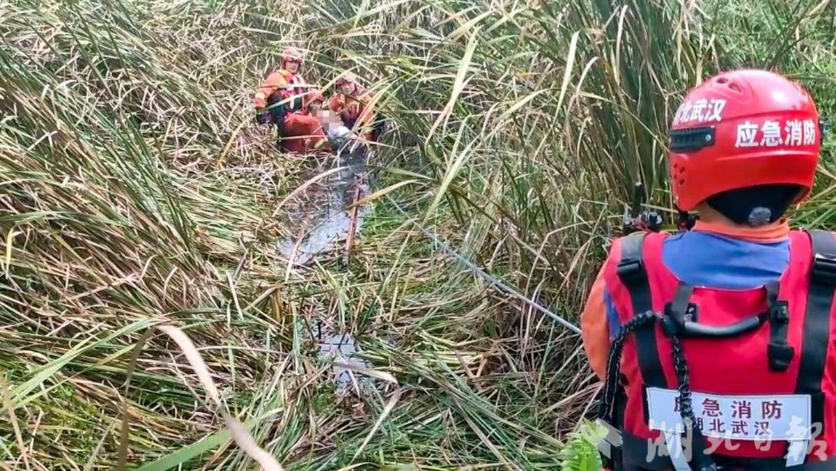 图片10.png 图片10.png