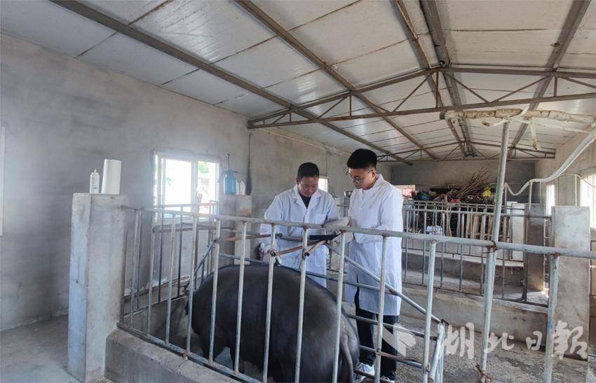 深入推进“五个体系”建设 (2).doc