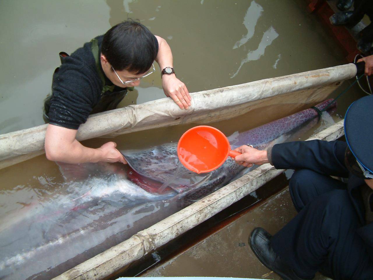 QQ图片20250702113551.jpg QQ图片20250702113551.jpg