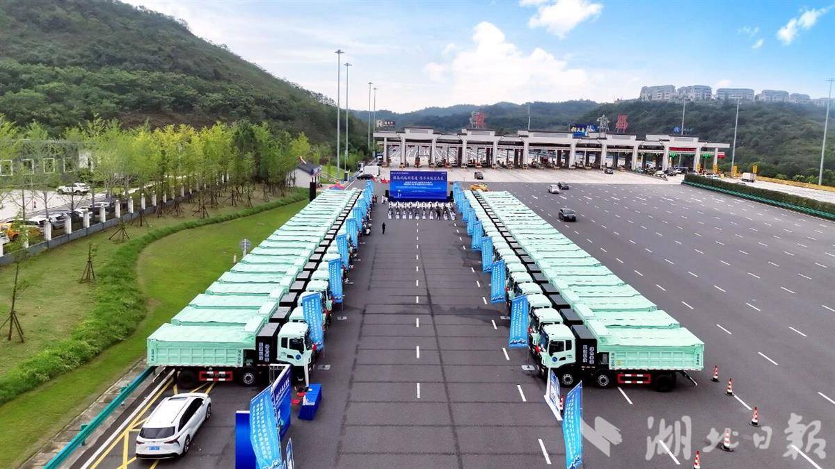 新能源车批量交付.jpg