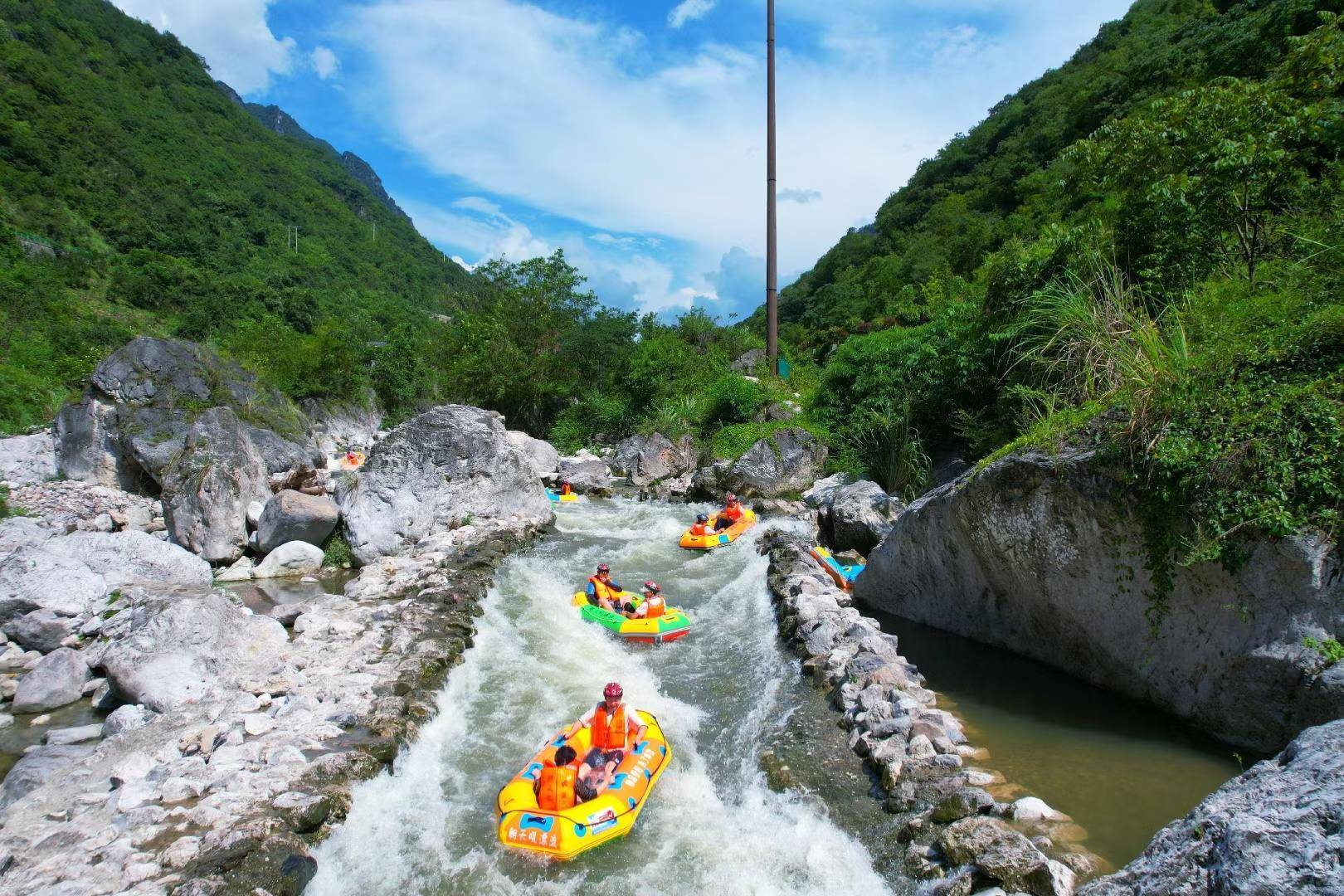 IMG_1980.JPG.jpeg IMG_1980.JPG.jpeg