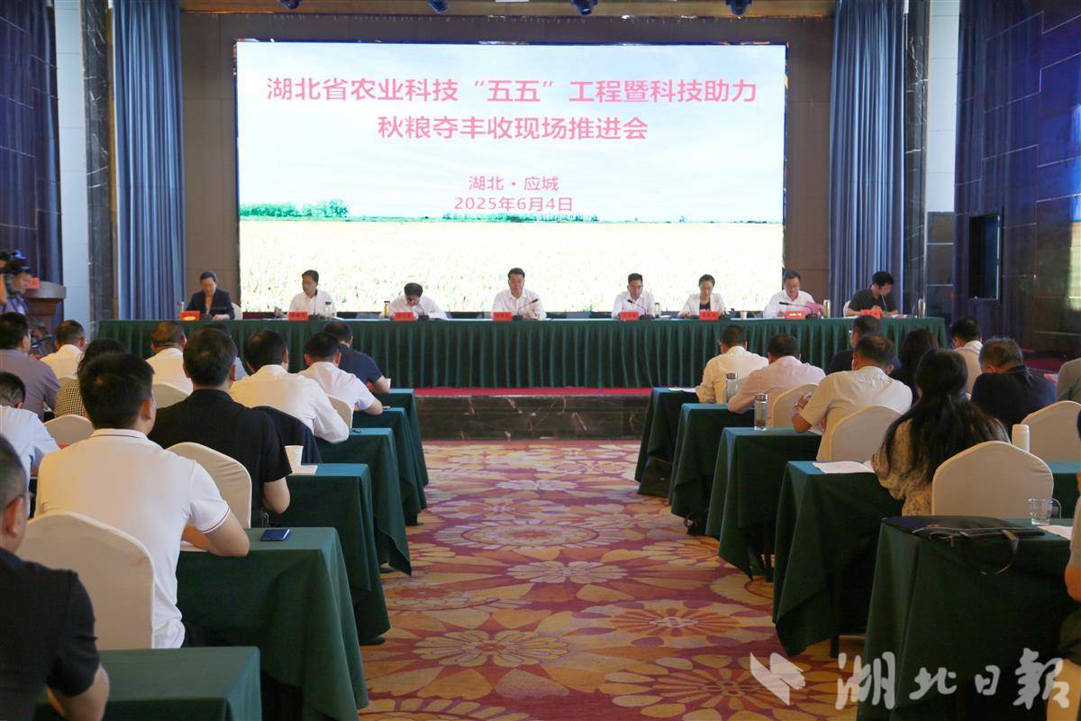 微信图片_20250605191919.jpg