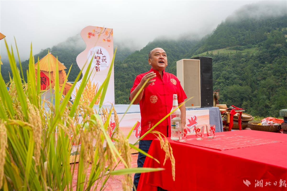 9月19日,秭归县两河口镇二甲村,村民宋正亮主持开镰.JPG 9月19日,秭归县两河口镇二甲村,村民宋正亮主持开镰.JPG