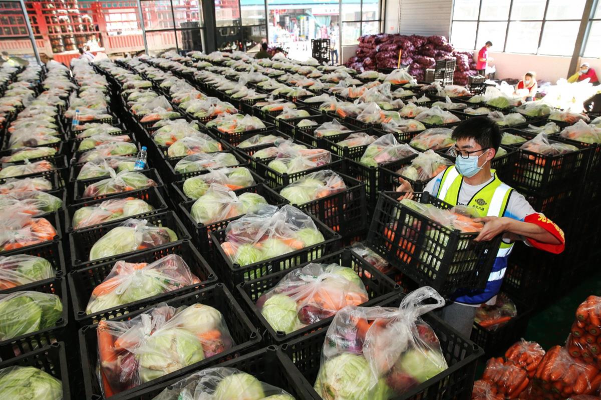 4月8日襄阳市竹叶山农产品交易中心志愿者正在分拣打包爱心蔬菜