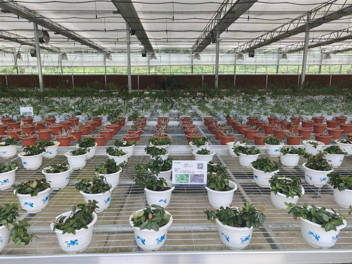 IMG20250901110306.jpg IMG20250901110306.jpg