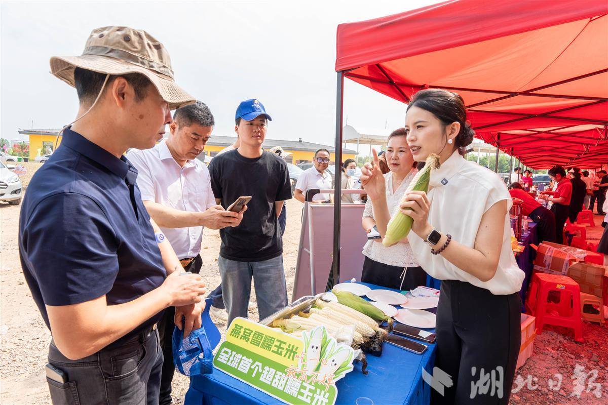 汉南6万亩甜玉米开园上市，吸引全国各地客商前来打货。通讯员田钰杰摄