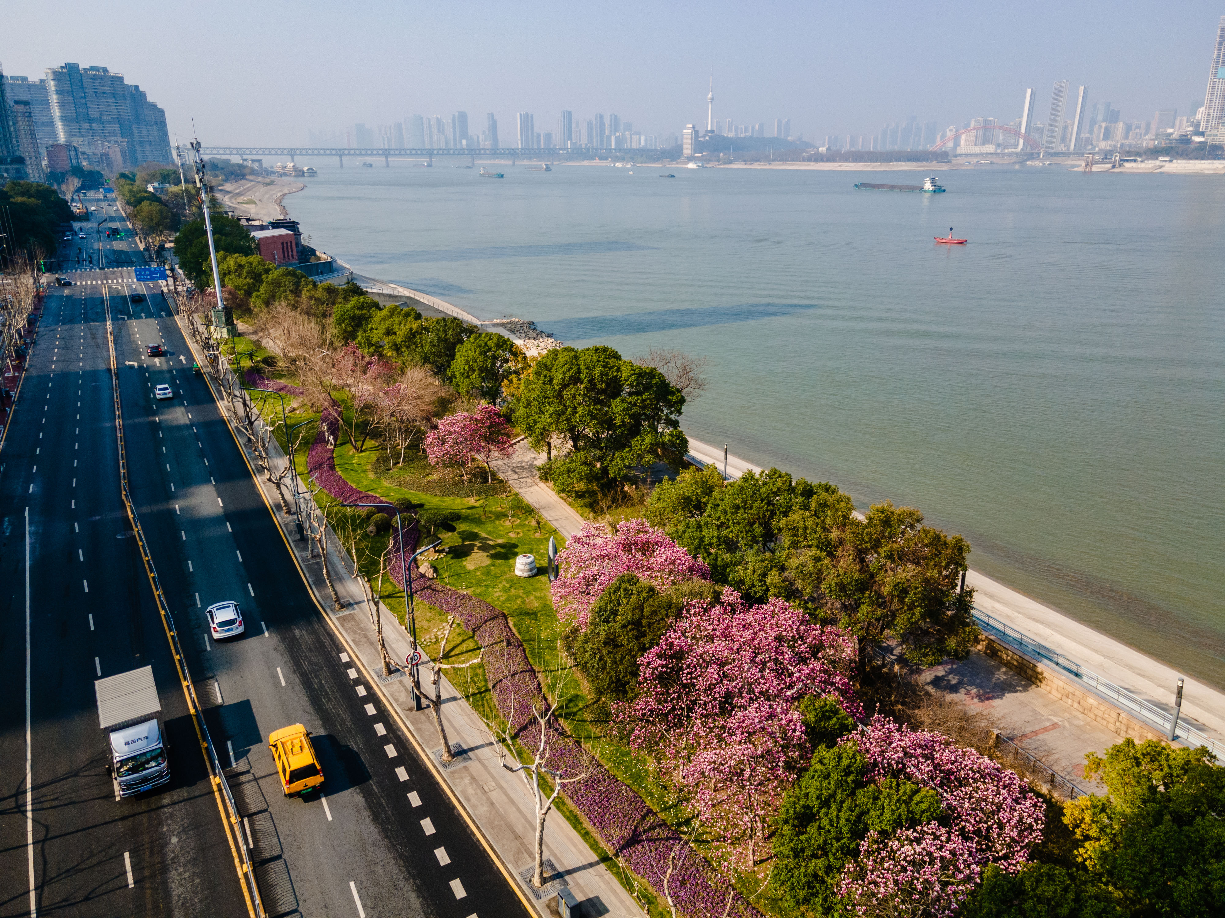 图片 4.png 图片 4.png