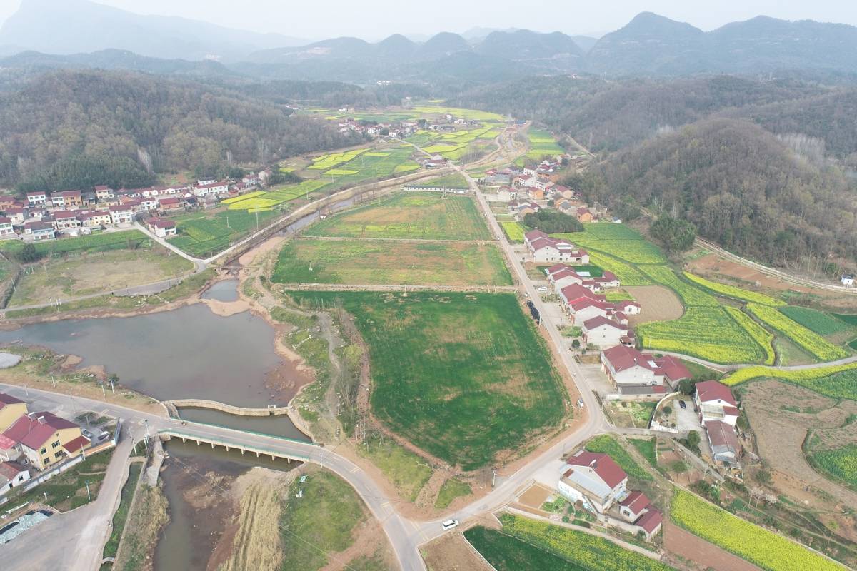 DJI_0465.JPG DJI_0465.JPG