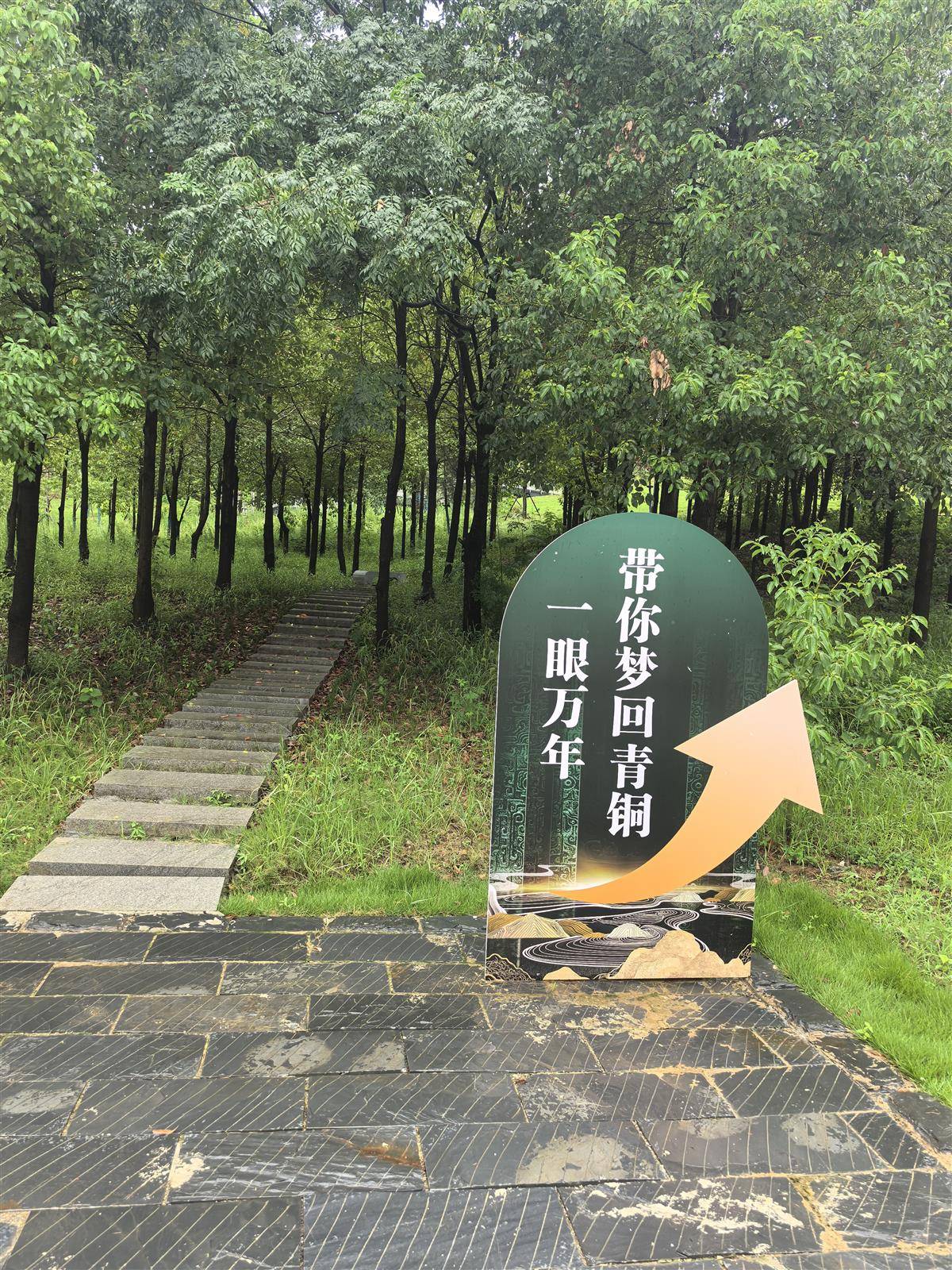 IMG_20250811_120027.jpg IMG_20250811_120027.jpg