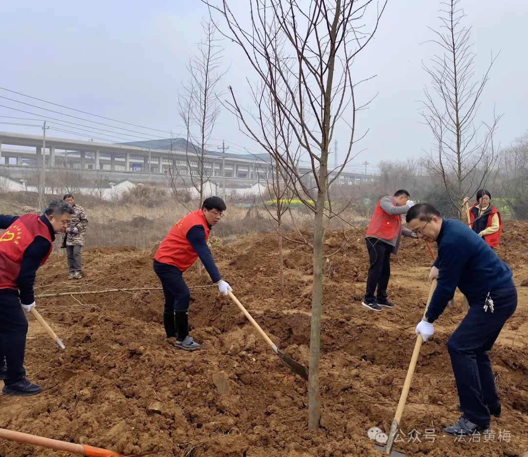 周明带头参与春季义务植树活动，践行绿色发展理念 - 湖北日报新闻客户端