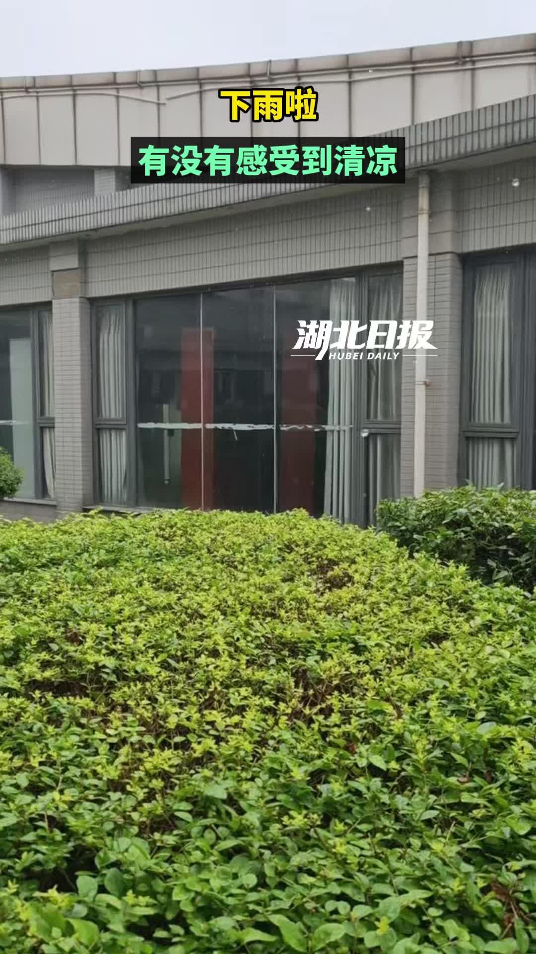 刚刚，武汉又下雨了