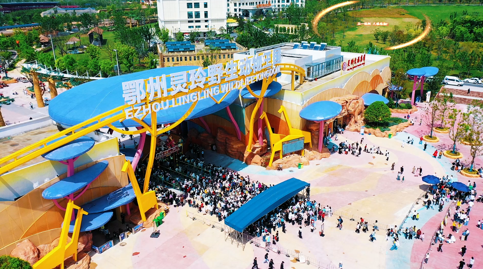 微信图片_20260505190251_633_618.png