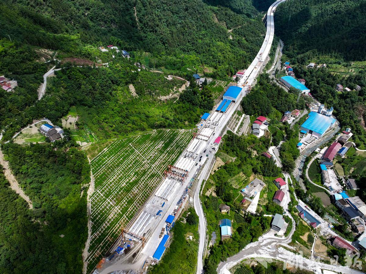 DJI_20250703142944_0280_D.JPG