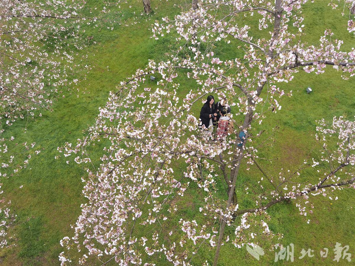 8fe045379152c6eb869547ffbd49c889.jpg 8fe045379152c6eb869547ffbd49c889.jpg