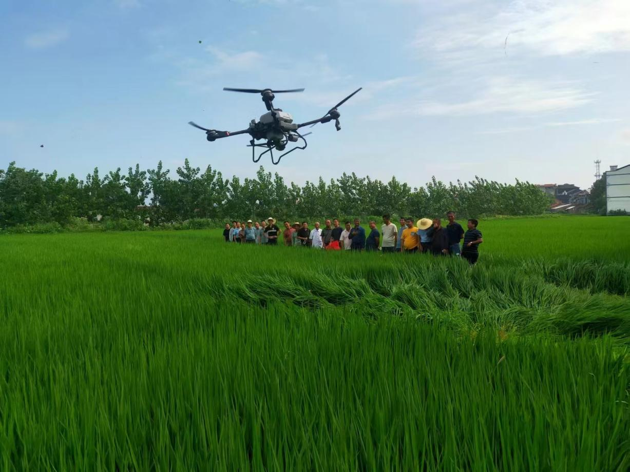 微信图片_20251118215420_16_1211.png 微信图片_20251118215420_16_1211.png