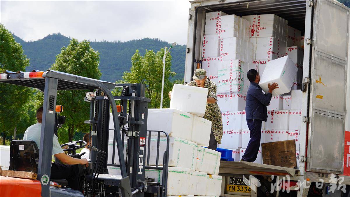 微信图片_2025-08-15_170148_249.jpg 微信图片_2025-08-15_170148_249.jpg