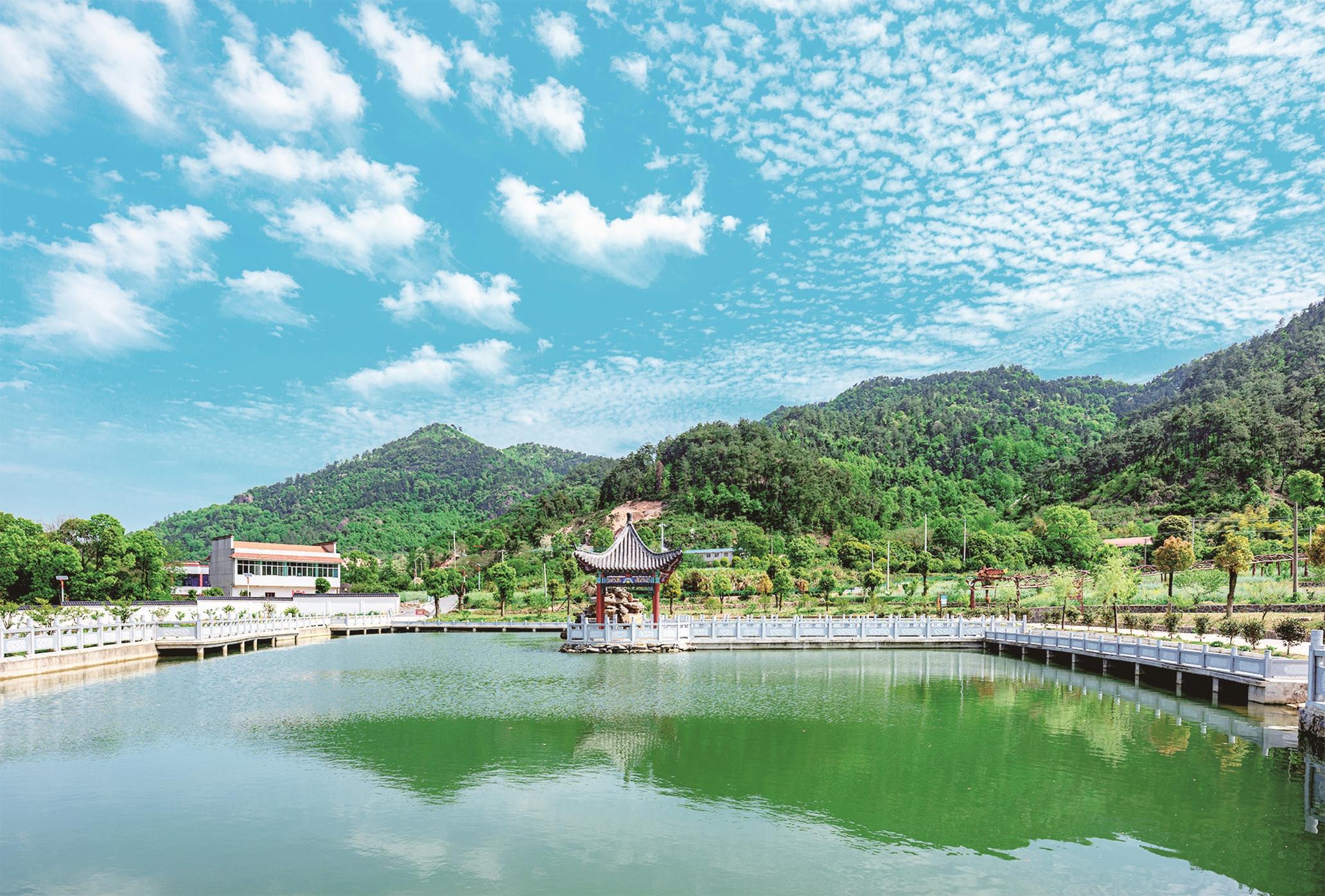 聚力环境质量发力生态科技助力乡村振兴梁子湖区倾力打造武汉城市圈后