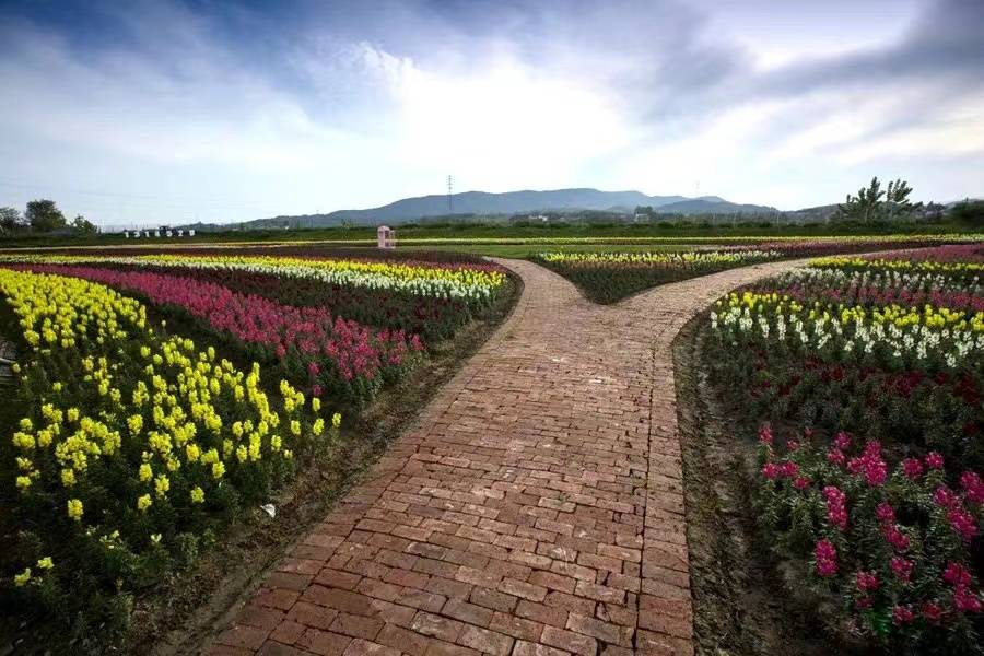 浠水清泉镇打造多彩花涧谷休闲胜地