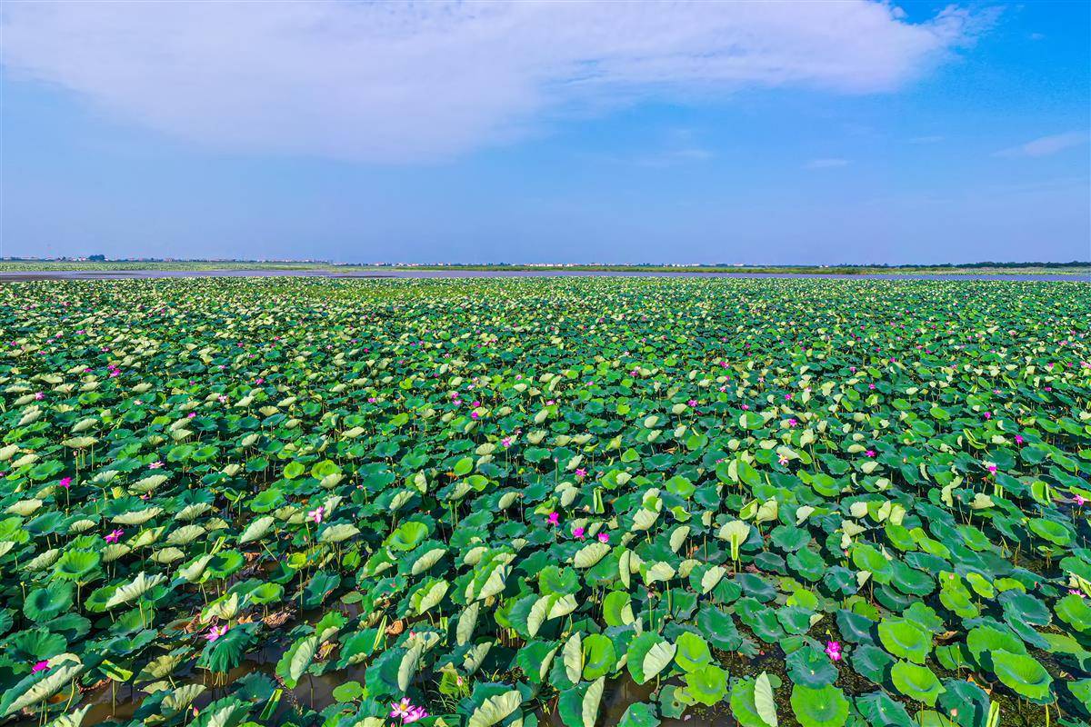 389cb7fa4329b8fcbc5e3446b96ae1f6.jpg 389cb7fa4329b8fcbc5e3446b96ae1f6.jpg