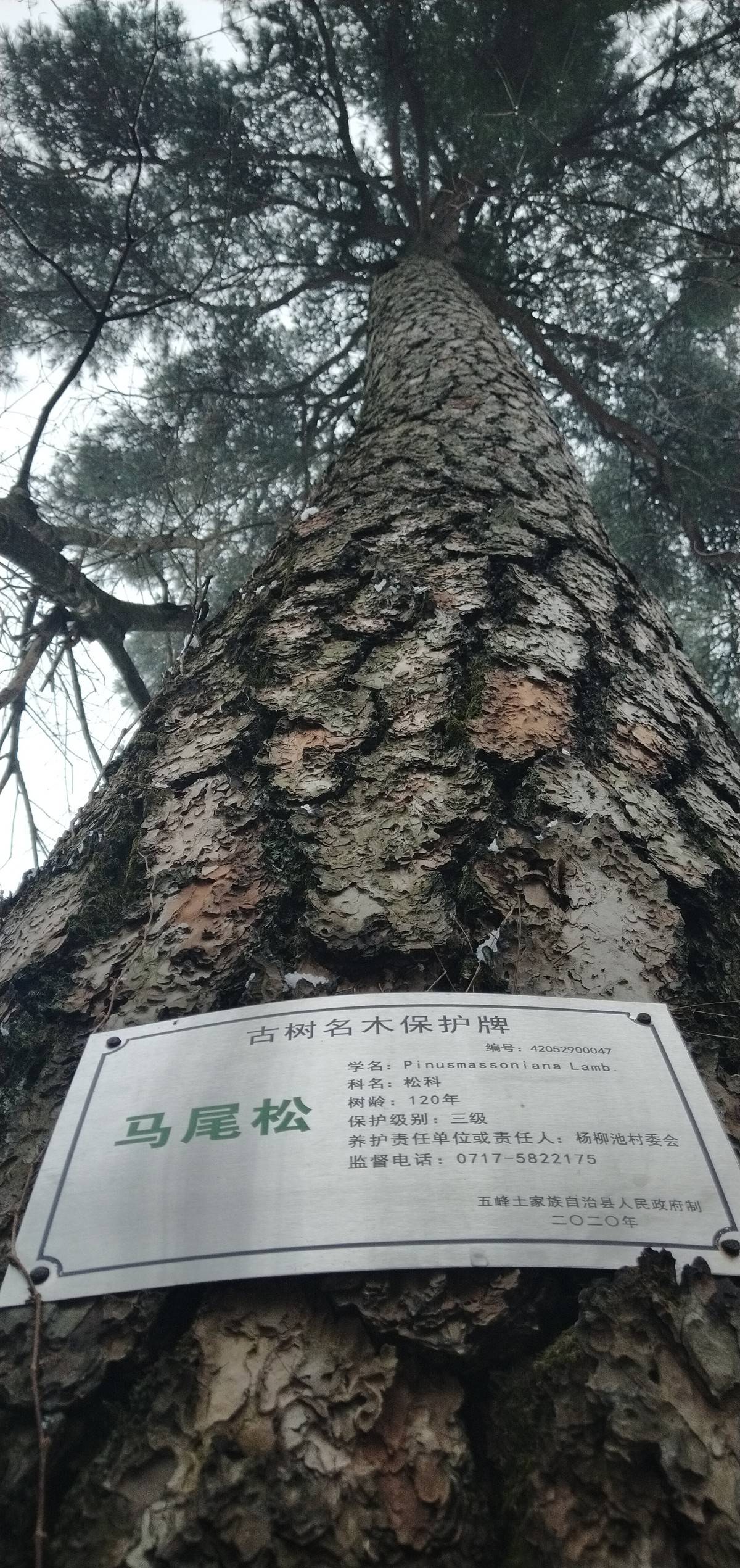 55957cb1ec3ac2e599cb33d85612a9cf.jpg