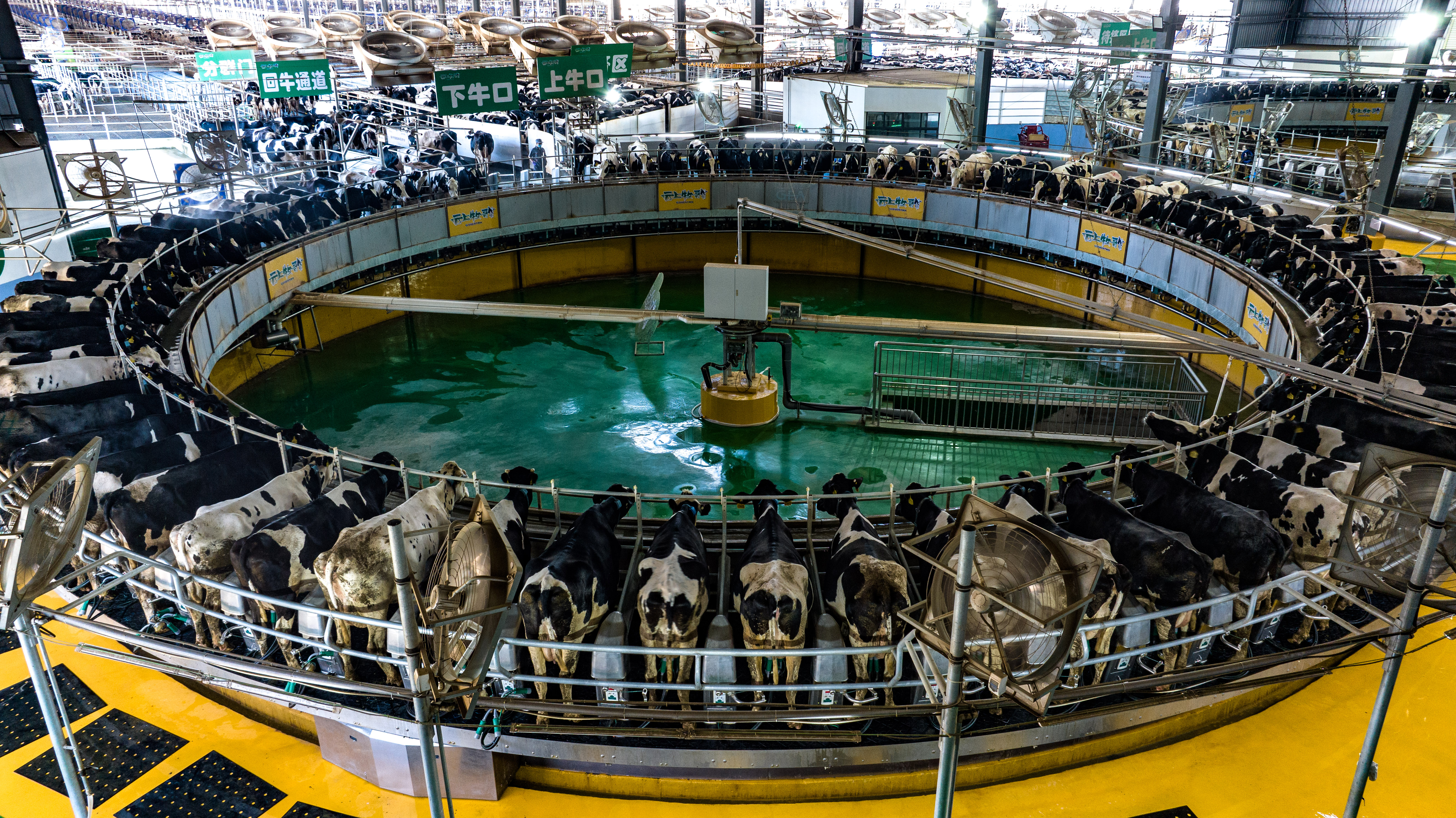 cb202508241832164305522try.jpg cb202508241832164305522try.jpg