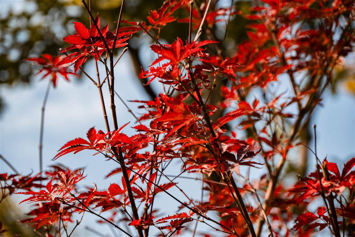 PIC_6550.jpg PIC_6550.jpg