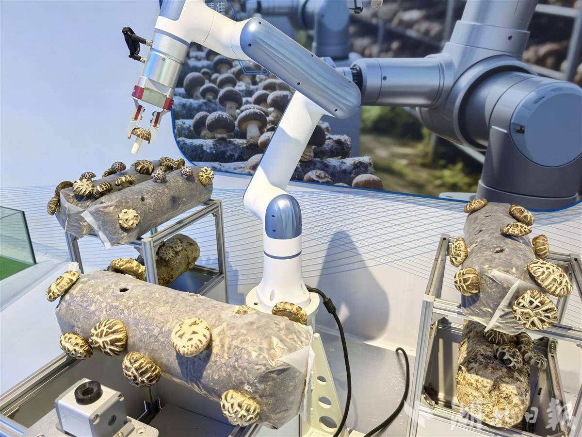 IMG_20250924_123222.jpg IMG_20250924_123222.jpg