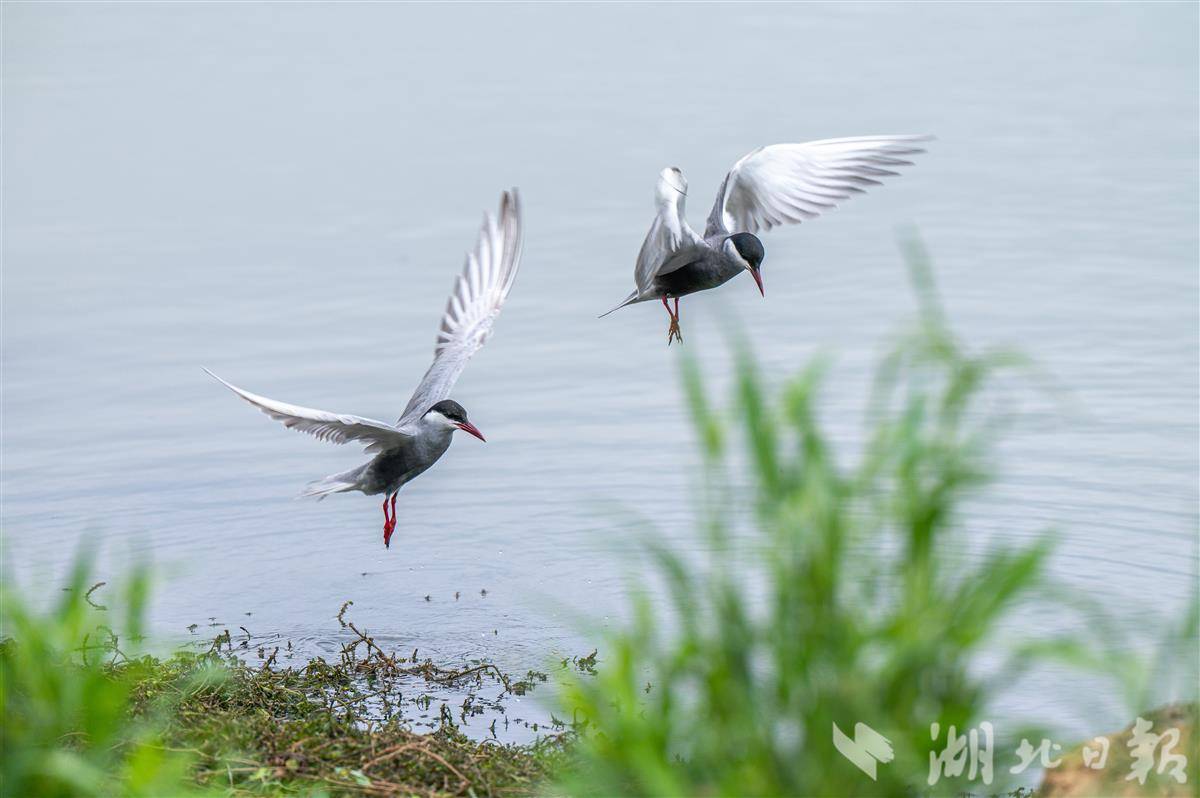 微信图片_20250729142153.jpg 微信图片_20250729142153.jpg