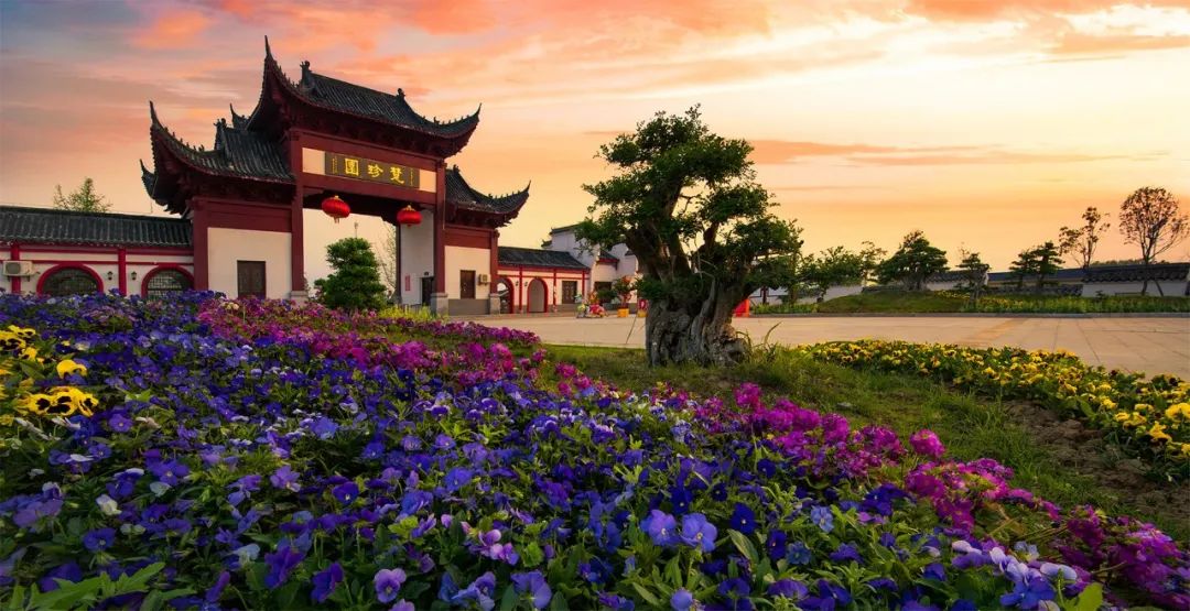 西部文旅灵秀应城