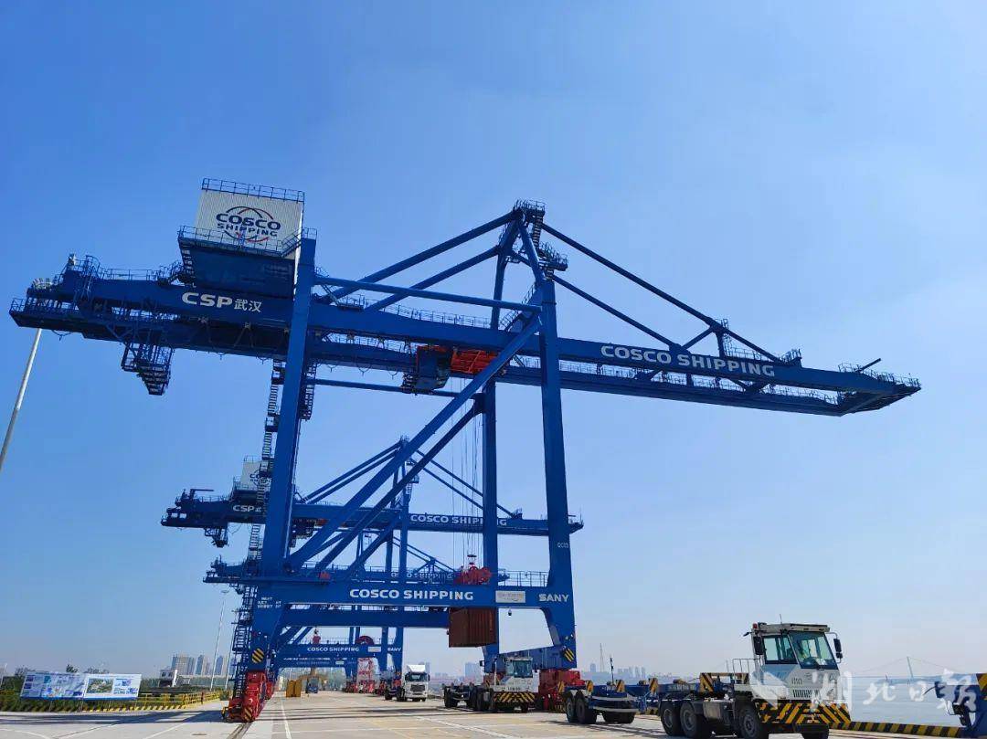 cb202505312112291276620vtx_edit.jpg cb202505312112291276620vtx_edit.jpg