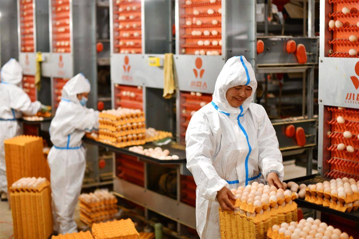 CB20231130173527377098.jpg CB20231130173527377098.jpg