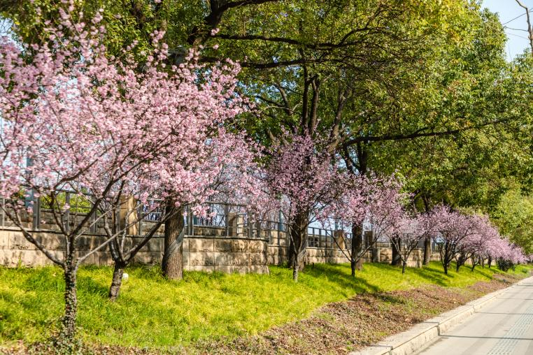 图片 6.png 图片 6.png