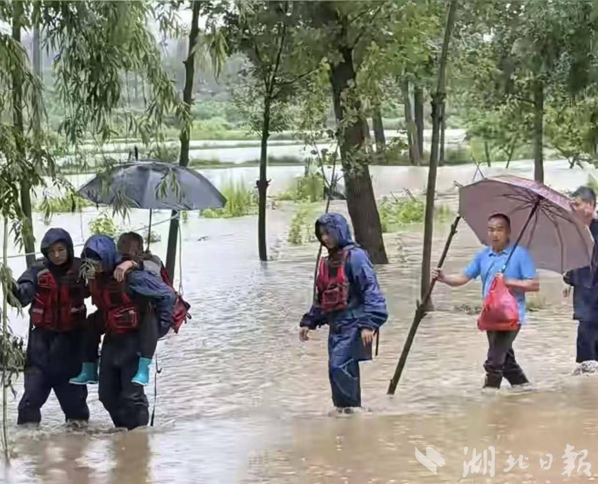微信图片_20260525155306_17_8.jpg