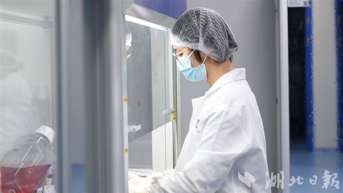 静帧 2026-03-19 144404_2.33.1.jpg 静帧 2026-03-19 144404_2.33.1.jpg